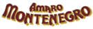 logoMontenegro