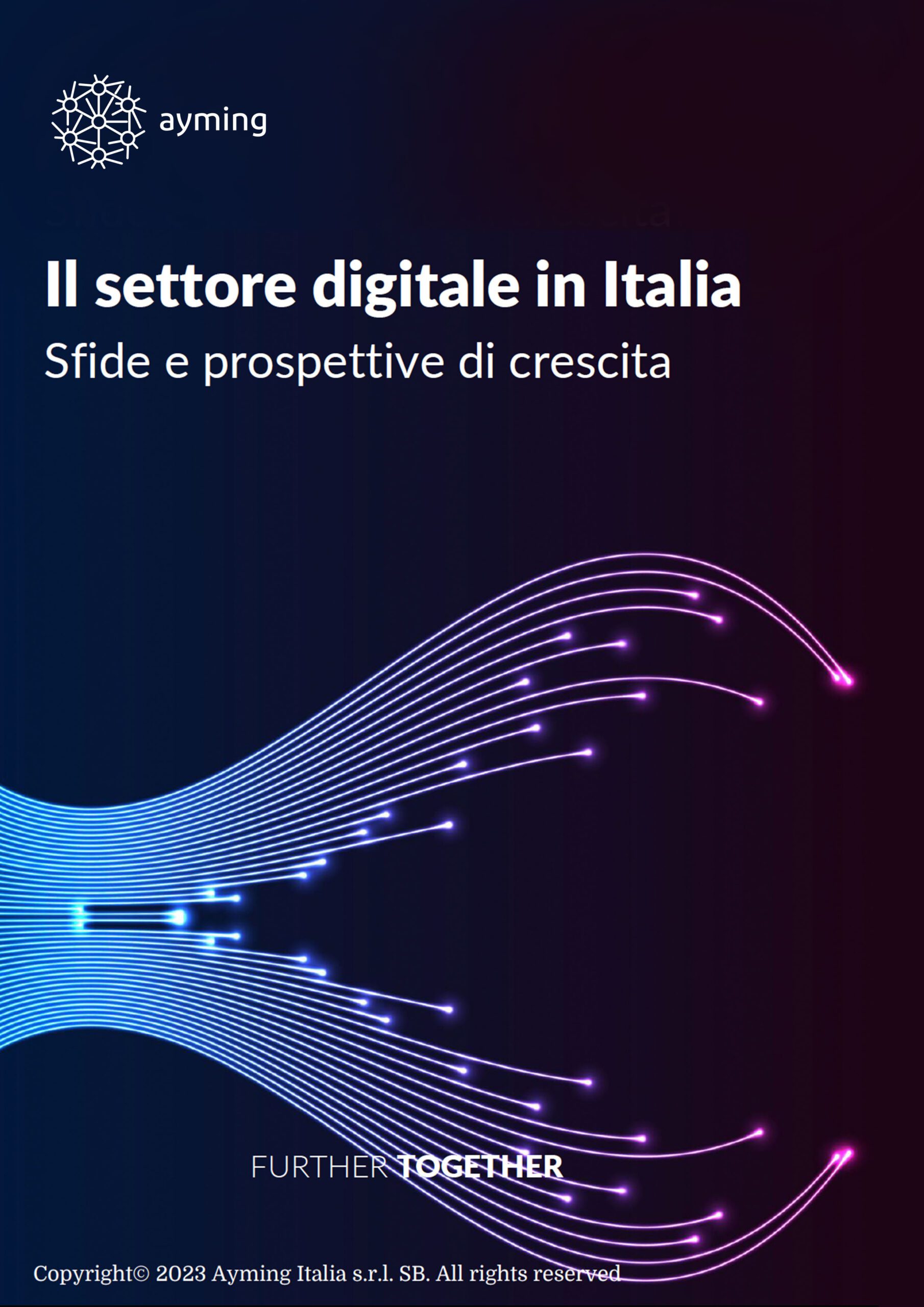 Cover image - Il settore digitale in Italia